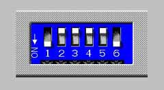 dpswsmall.jpg (7520 バイト)