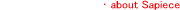 about Sapience