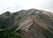 ʎRւ̔