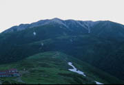 YuĂĖtx
