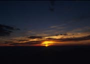 䗈(4)
