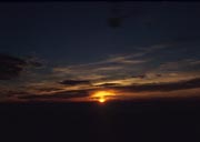 䗈(5)