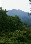 m猩x