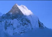 わずか山頂を残すのみ・・