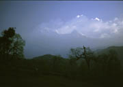 ̃AiviRQ