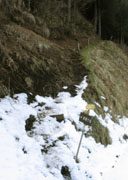 Rł