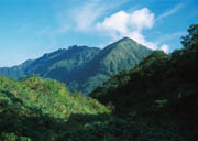 CRc̉]